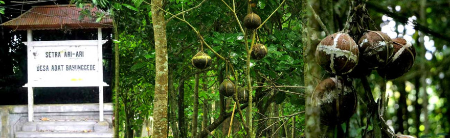 Setra ari-ari Desa Bayung Gede